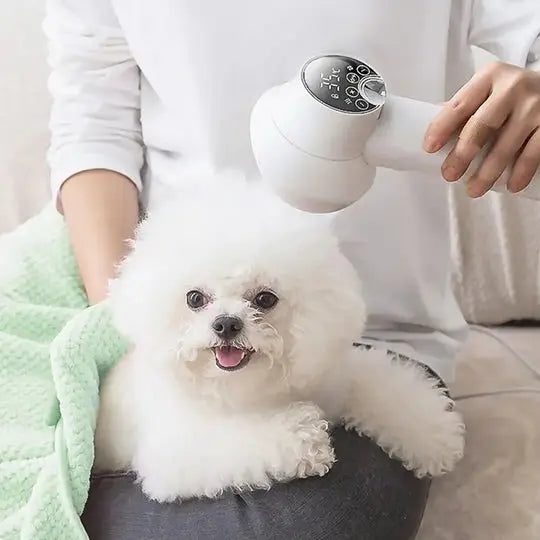 2 in 1 Smart Dog Hair Dryer korastore.com