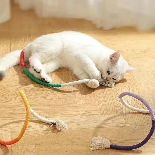 Cat Chew Toys