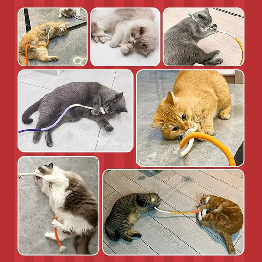 Cat Chew Toys